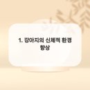 켄넬퀸비 네이버블로그