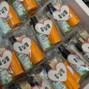 몽실 | 시흥 배곧 1인 애견미용실_푸들 전체 미용 후기 :: 몽실뜰