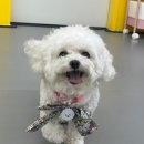 월성유치원 이미지