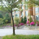 삼성쉐르빌@ 이미지