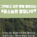 나무교역 이미지