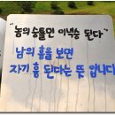 제주주방