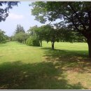 싸이버공원 이미지