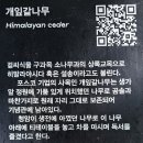 송정천 | 부산시 기장9포 역사 기행