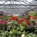 상수농장 이미지