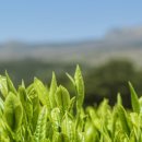 청명크리닝 이미지