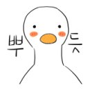 베스트강북애견미용학원 이미지
