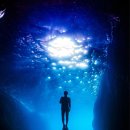 보성타운 이미지