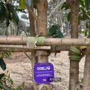 목포장문외과병원 | (신안군 임자면 2026 튤립축제 후기) 긴 4월 일상과 신안군 튤립축제 짧은 후기