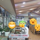 단양밥상 | 단양구경시장맛집 찾다가 들른 단양맛집 푸짐한 건강밥상 후기