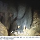 지리산밧데리 이미지