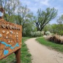 숲내음공원 이미지