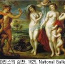 과일세상 이미지