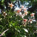 종명랜드 이미지