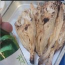 팀키스 짐 이미지