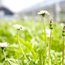 농원축산 이미지