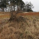 평지농장 이미지