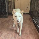 소답동225 이미지