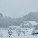 해시노멀 이미지