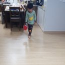 차가운탁구공 이미지