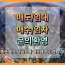 부산광역시 영도구 동삼북로 네이버블로그