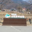 예산-49 이미지