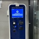 올레할인마트 | 제주 여행 필수코스 추천! 서귀포 매일올레시장 먹거리 & 야시장 후기