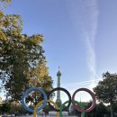 오륜태권도 | 파리 / 올림픽 후반전 &amp; 네이버 클립활동 후기