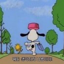 댕그라운드 이미지