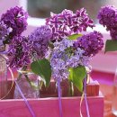 고갯마루 이미지