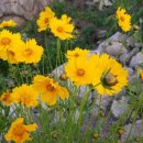 둥지농장 이미지