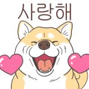 플로리아헤어 이미지