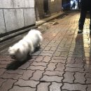 물레방아포차 이미지