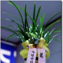 가연 휘트니스 이미지