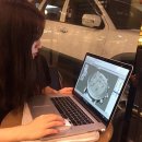 스위스장 이미지