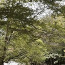 월악산 별장펜션 이미지