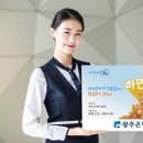 하면돼지