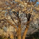 우장산역 1번출구 이미지