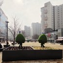 365동물병원 위례점 | 창곡동 가볼만한곳 위례중앙광장 맛집과 편의시설이 밀집된 도심 랜드마크