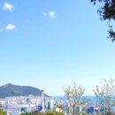 중앙공원 산책로 이미지