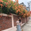 디아키건축사사무소 - 수영구 무학로 64 | 디아키건축사사무소