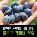 미산농원 이미지