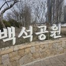 데이즈데코즈