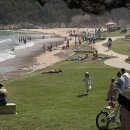 체크메이트 룩 | Melbourne🐨🦘🇦🇺