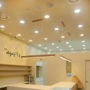 매일약국 이미지