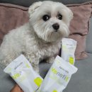 신장쇼핑몰3 | 강아지 신장 사료 기호성 테스트: 닥터힐메딕스 레날 vs 베네핏 키드니&amp;유리너리 샘플 급여 후기