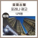 광교더빛나부동산공인중개사사무소 이미지