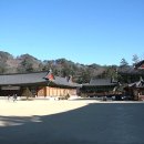 창촌주유소 Daum카페