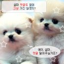 펀들 | Item : 펀들(Fundle) 구매 후기. :)