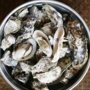 골라먹는재미 이미지